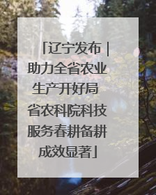 辽宁发布｜助力全省农业生产开好局 省农科院科技服务春耕备耕成效显著